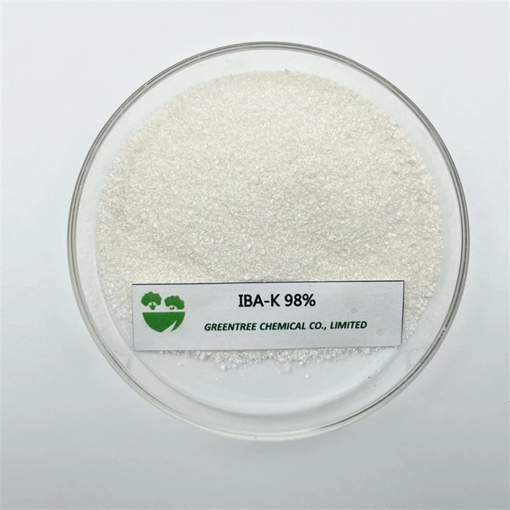 CAS-nr. 60096-23-3 Rooting Hormon IBA-K Indol Smørsyre Kaliumsalt 98 procent