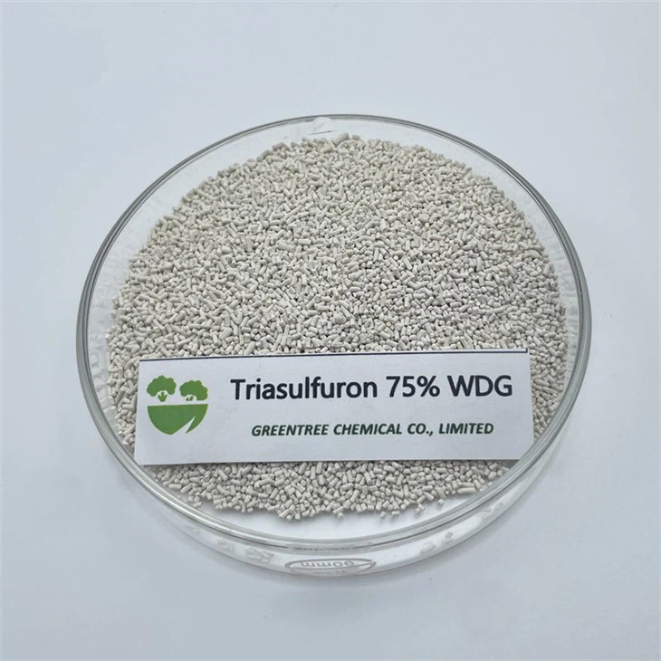 Herbicid Triasulfuron 75% vægt til at bekæmpe bredbladet ukrudt