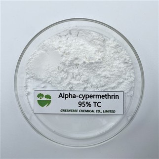 C22H19Cl2NO3 Landbrugskemisk insekticid Alpha-Cypermethrin 95 procent Tc Pris