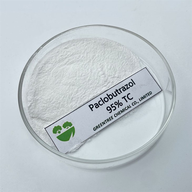 Paclobutrazol 95% Tc tekniske plantevækstregulatorer
